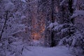 Winter forest snow lighting house cold outside