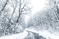 Winter forest snow road. Forest road winter snow view Royalty Free Stock Photo