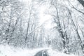 Winter forest snow road. Forest road winter snow view Royalty Free Stock Photo