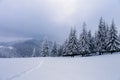 Winter forest of spruce trees poured with snow that like fur shelters the mountain hills covered with snow. Royalty Free Stock Photo