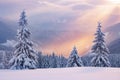 Winter forest. Sun rays enlighten the meadow with trees. High mountain. Natural landscape. Free space for text. Snowy wallpaper Royalty Free Stock Photo