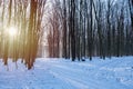 Winter forest sundawn and sun flare, narrow countryside dirt road crossroads with snow, tire tracks