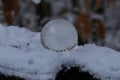 Winter forest through a transparent glass ball Royalty Free Stock Photo