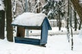 In the winter forest on the tree hangs a bird feeder. Royalty Free Stock Photo