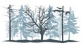 Winter forest. Trees silhouette. Oak, bare pines and beautiful fir trees. Vector illustration