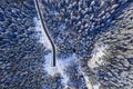 Winter forest, tunnel entrance from above