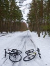 A winter forest and two bikes on the road Royalty Free Stock Photo