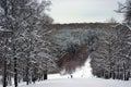 Top view of the mountain on the snow-covered winter forest in calm weather Royalty Free Stock Photo