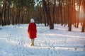 Winter forest walk woman hiking in snow with tall boots walking outdoors amongst trees.