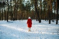 Winter forest walk woman hiking in snow with tall boots walking outdoors amongst trees. Royalty Free Stock Photo