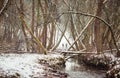 Winter forest and water Royalty Free Stock Photo