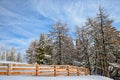 Winter forest and wood fence