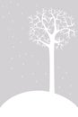 Winter frame with tree branches, snowflakes, falling snow. Greeting card and poster. New year background. Winter template. New yea Royalty Free Stock Photo