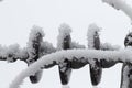 Winter, frost. Energy industry of Ukraine, high-voltage power lines in ice