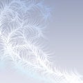 Winter frost pattern - vector illustration Royalty Free Stock Photo