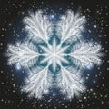 Winter frosted snowflake card, vector