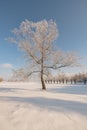 Winter, frosty landscape of Podlasie, Poland