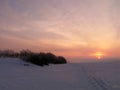 Winter frosty morning. Royalty Free Stock Photo