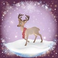 Winter frosty snow background with a Christmas Deer Royalty Free Stock Photo