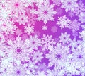 Winter Frosty Tracery Of Snowflakes On Purple And Blue Background Royalty Free Stock Photo