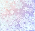 Winter Frosty Tracery Of Snowflakes On Yellow And Blue Background Royalty Free Stock Photo