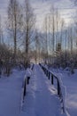 winter frosty vertical landscape. Russian birch, sunlight and bridge.