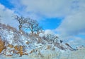 Winter frozen coast with golden rocks and trees