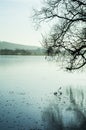 Winter frozen lake in landscape Royalty Free Stock Photo