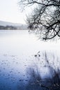 Winter frozen lake in landscape Royalty Free Stock Photo