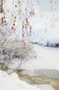 Winter frozen tree branches Royalty Free Stock Photo