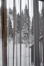 Winter frozen view from blurred curtains or tulle. Forest outside the window Royalty Free Stock Photo