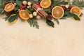 Winter Fruit Border Royalty Free Stock Photo