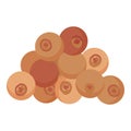 Winter fruit icon cartoon vector. Mulled wine