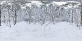 Winter full spherical hdri panorama 360 degrees angle view on path in snowy pinery forest in equirectangular projection. VR AR