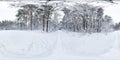 Winter full spherical hdri panorama 360 degrees angle view on path in snowy pinery forest in equirectangular projection. VR AR