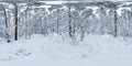 Winter full spherical hdri panorama 360 degrees angle view on path in snowy pinery forest in equirectangular projection. VR AR