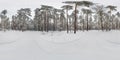 winter full spherical hdri 360 panorama view on path in snowy pinery forest in equirectangular projection. VR AR content
