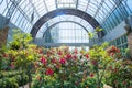 The Winter Garden at the Auckland Domain of New Zealand. Royalty Free Stock Photo