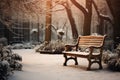 Winter gardens blurred backdrop features a rustic wooden chair