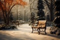 Winter gardens blurred backdrop features a rustic wooden chair