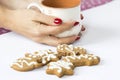 Winter gingerbread and tea cup Royalty Free Stock Photo