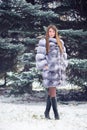 Winter Girl in Luxury Fur Coat Royalty Free Stock Photo