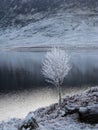 Winter at Glen Garry, Scotland Royalty Free Stock Photo
