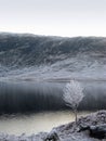 Winter at Glen Garry, Scotland Royalty Free Stock Photo