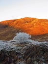 Winter at Glen Garry, Scotland Royalty Free Stock Photo