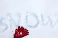 Winter gloves on snow with snow inscription. Flat lay shiny texture. . Royalty Free Stock Photo