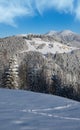 Winter Gorgany massiv mountains scenery view from Yablunytsia pass, Carpathians, Ukraine Royalty Free Stock Photo