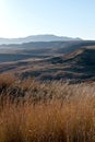 Winter Grasses and Dry Landscape in Orange Free St