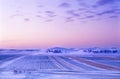 Winter grassland sunrise Royalty Free Stock Photo