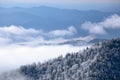 Winter, Great Smoky Mountains Royalty Free Stock Photo